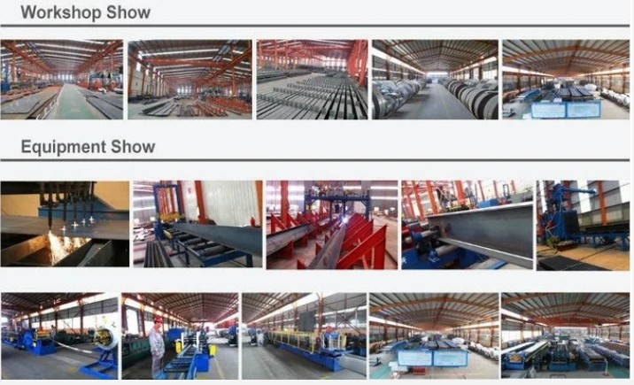 Qingdao Xinguangzheng Husbandry Co.,  Ltd 공장 생산 라인