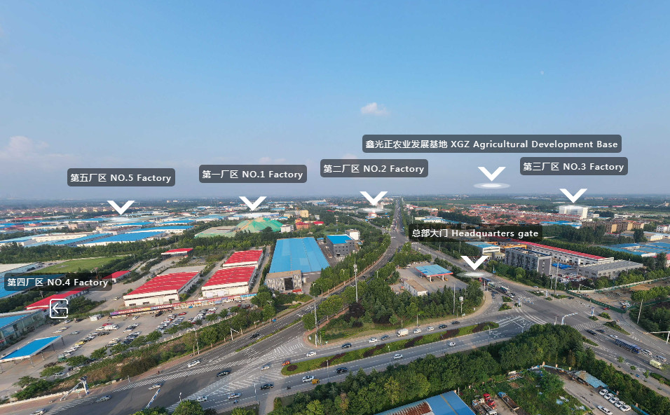 중국 Qingdao Xinguangzheng Husbandry Co.,  Ltd 회사 프로필