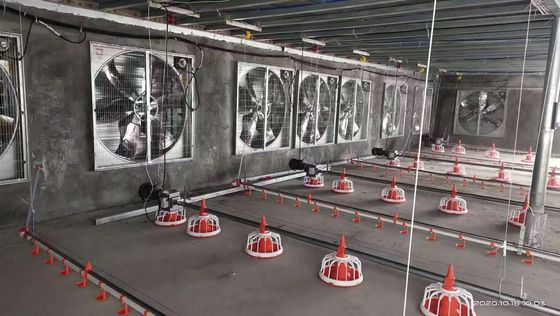 OEM 브로일러 바닥 시스템 380V 브로일러 평면 높이는 전체 집 시스템