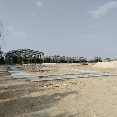 사전 설계 된 가축 농장 집 닭고기 철강 구조 창고