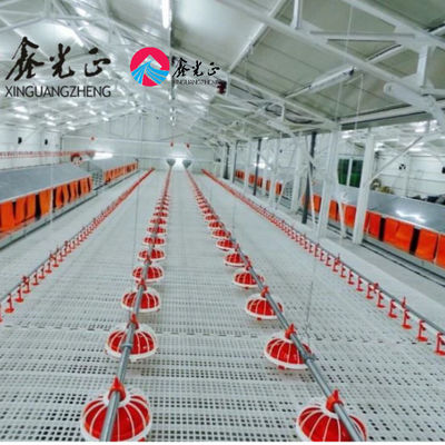 PVC 단열을 가진 H 섹션 스틸 전조 가축 농장 집