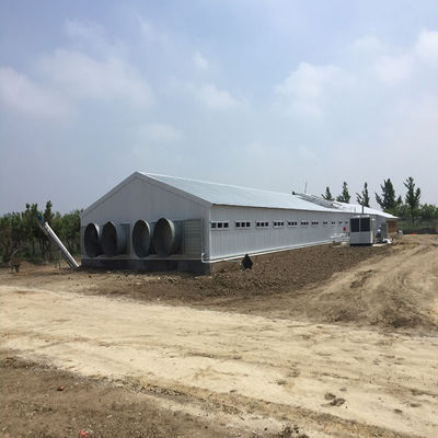 조류 농장 닭집 가벼운 전조 철강 구조 건물