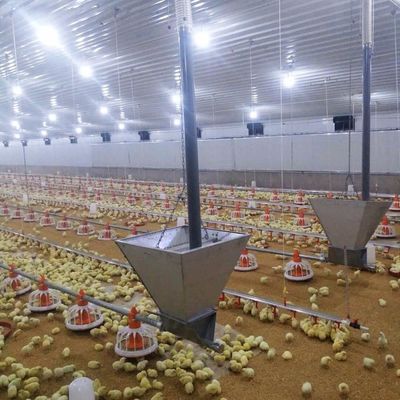 장수성 고기 닭고기 바닥 시스템, 부식 저항성 / 플라스틱 물질