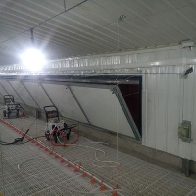 우수한 성능을 위한 반 미끄러기 브로일러 바닥 시스템 표준