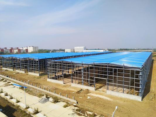 전문적인 디자인 전공 철강 구조 닭 농장 장비 집