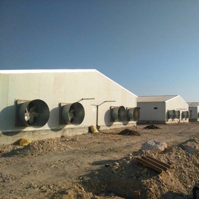 맞춤형 가블 지붕 격리 패널과 함께 Prefab 가축 집
