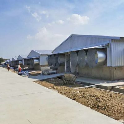 내구성 기상 저항성 가축 철강 건물 기상 저항성