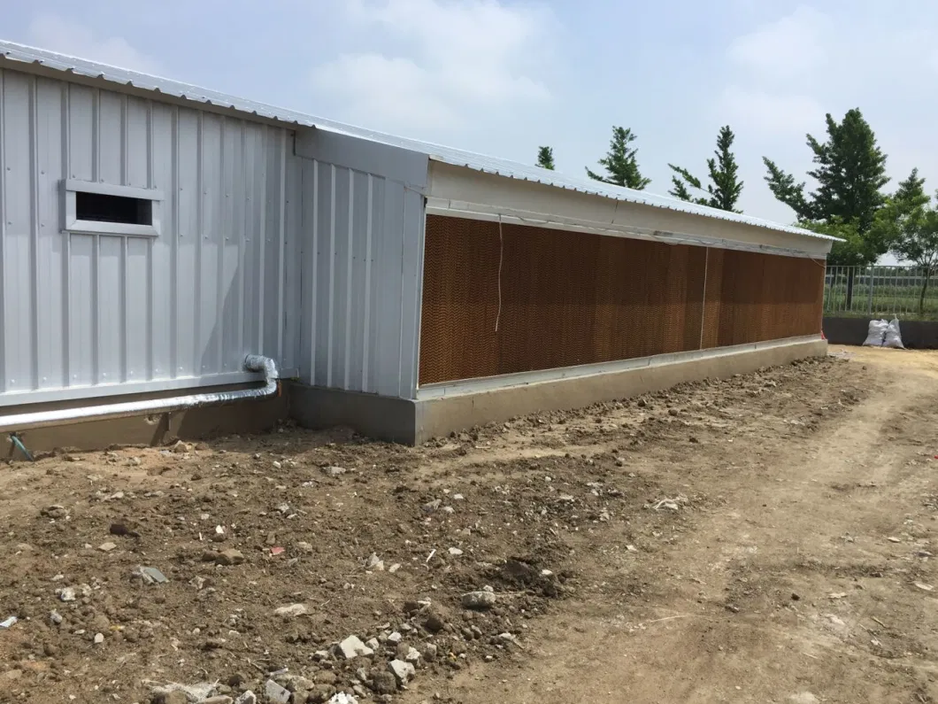 CE 가축 농장 가옥 철강 구조 닭고기 가옥 및 닭고기 장비 10